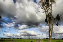 爱游戏网页版-摩洛哥瓦赫达冲击冠军，锋线磨合进入关键期