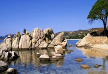 爱游戏官方入口-西悉尼流浪者球员团队氛围良好，备战世俱杯信心满满