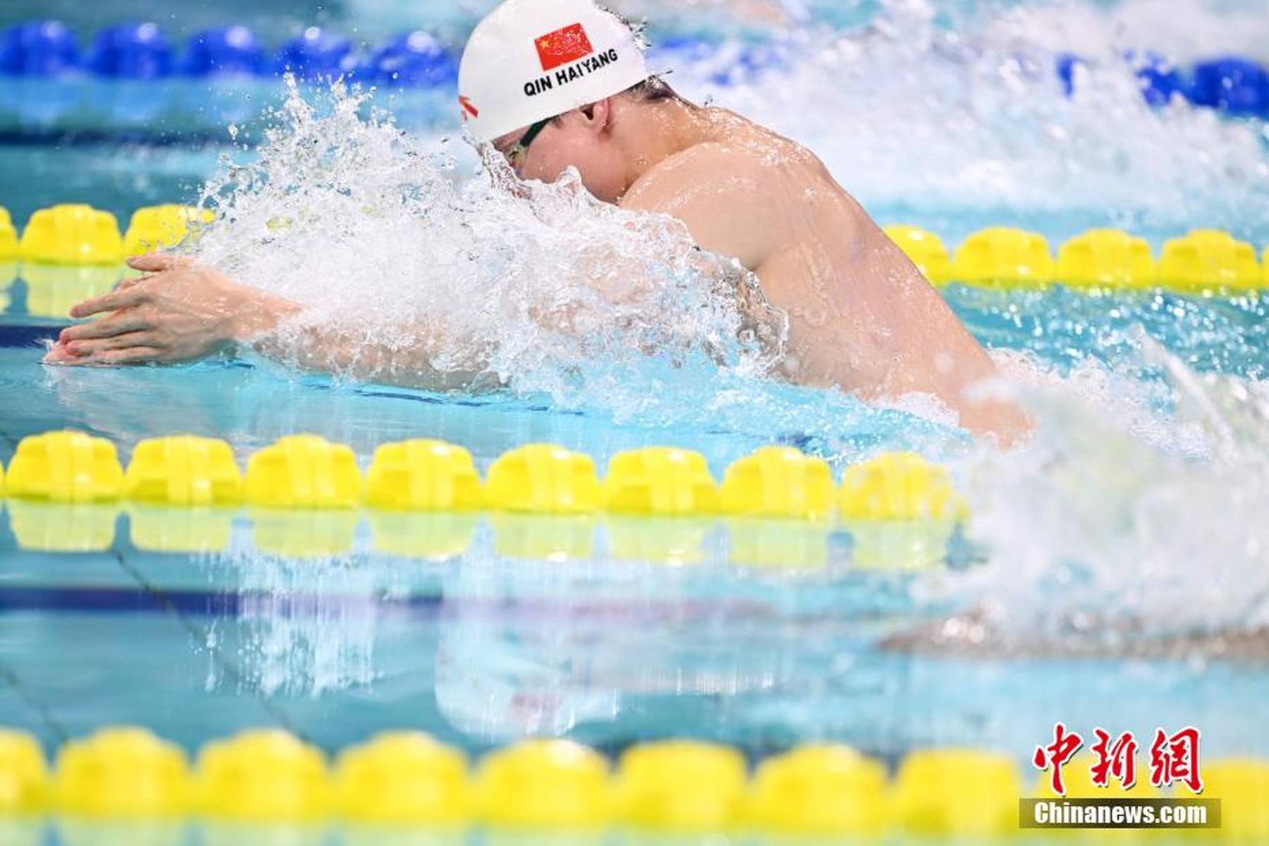 中国游泳队实现突破,取得佳绩 中国游泳队实现突破,取得佳绩