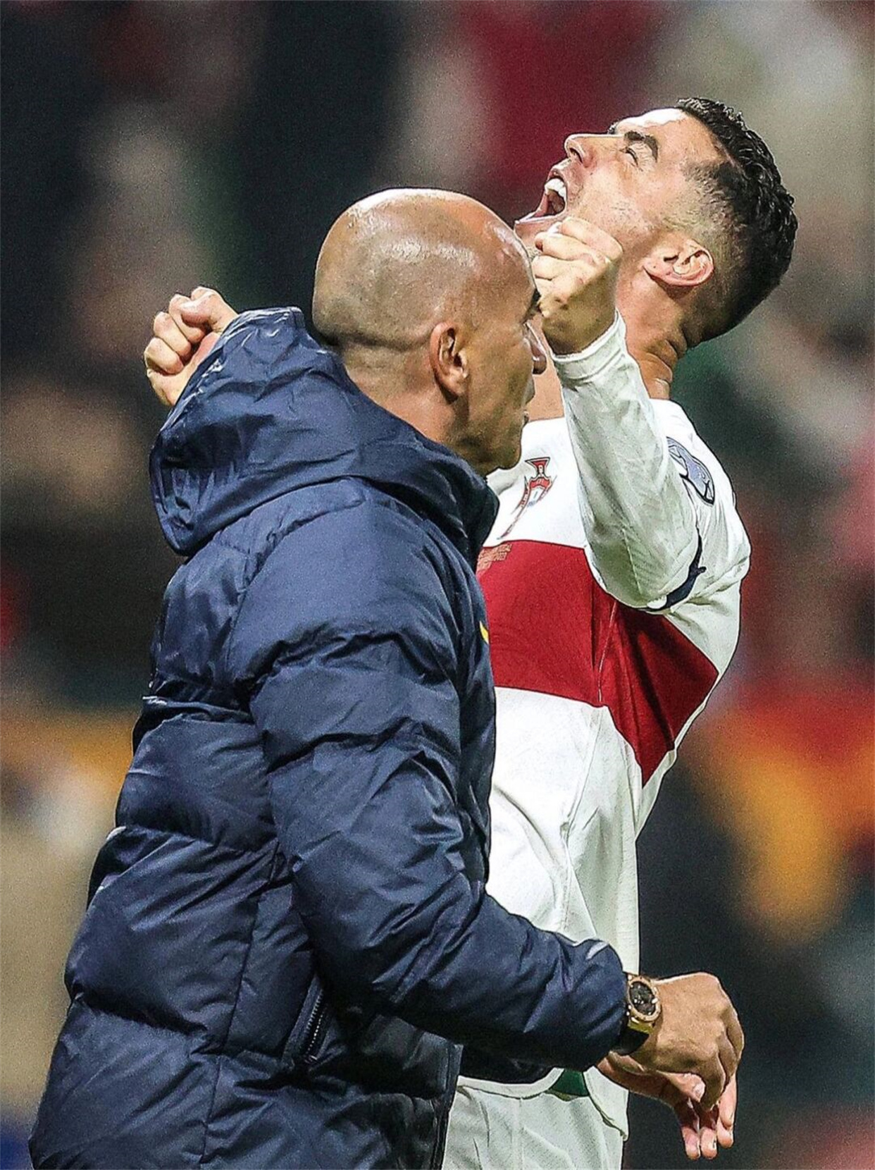 关于格陵兰队潜力巨大，欧预赛实力无穷的信息